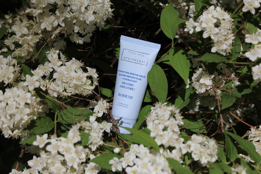 A tube of balm and body lotion from Province Apothecary amongst flowers and leaves, showing its natural and plant-based ingredients. 